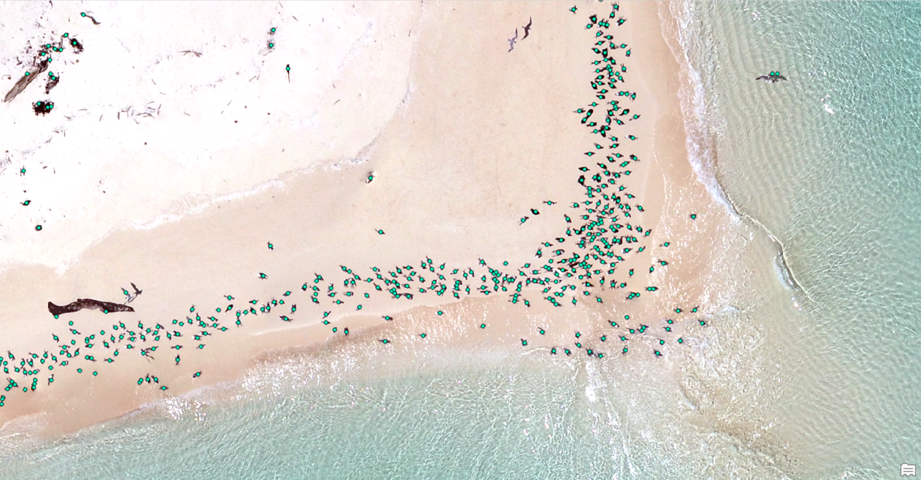Seabird Population Monitoring