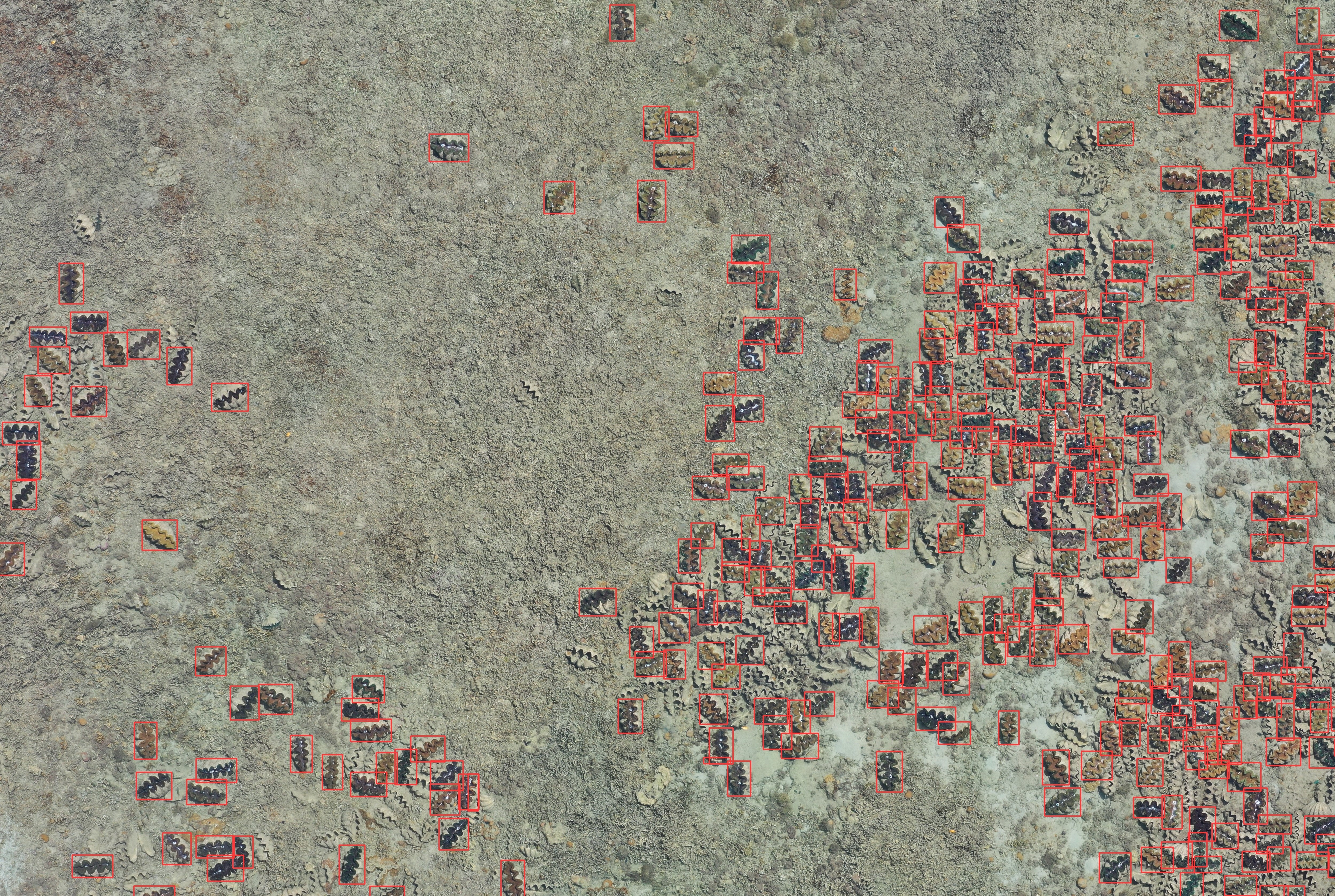 Object Detection Project